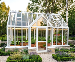 Astera_T_teplisa_glass-house.ru.jpg