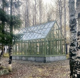 АСТЕРА Макси